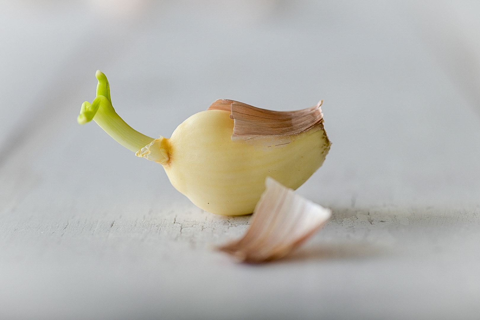 Peeled garlic with the root